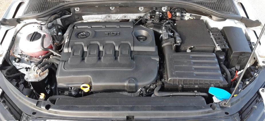 Skoda Octavia cena 49900 przebieg: 176000, rok produkcji 2017 z Syców małe 631